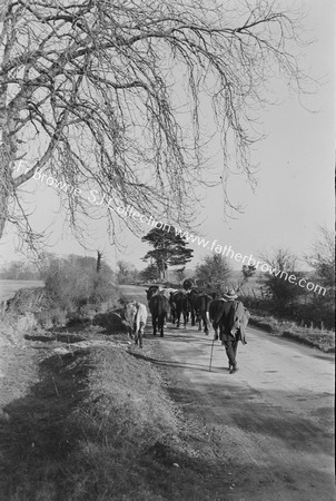 ROADS ON THE WAY TO TULLAMORE FAIR 